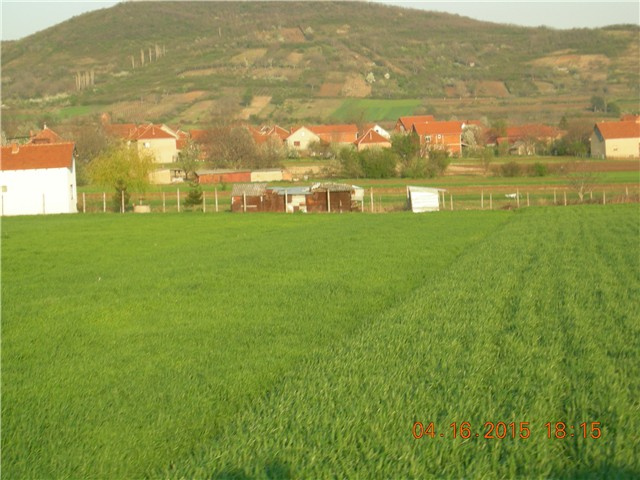 arčilend